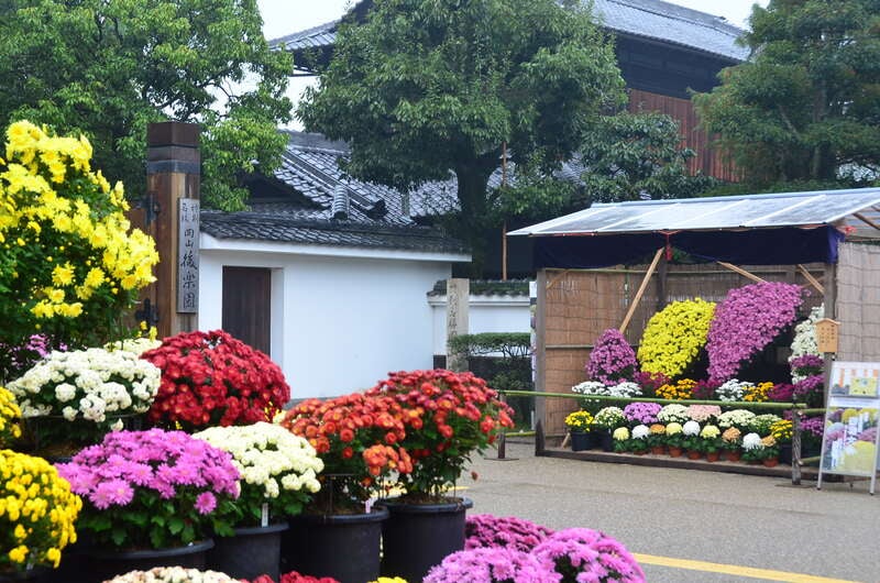 【JR福山駅発】アフタヌーンティー付ランチdeカラフルな休日inおかやま　日帰り2