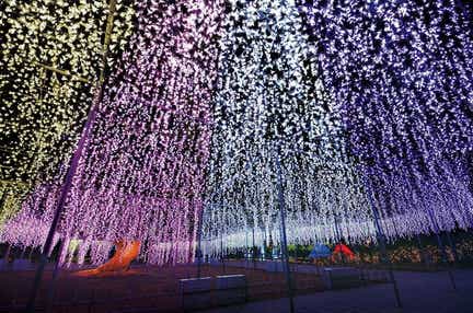 【金沢駅発】 日本三大イルミネーション「あしかがフラワーパーク」と 日光・清津峡・軽井沢 秋色絶景めぐり と 四万温泉 3日間