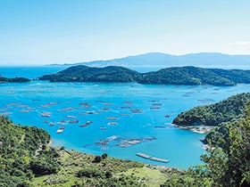 姫路・龍野　発
殻付き牡蠣食べ放題！旬彩かき会席2