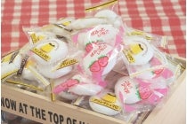 ★WEB予約で５００円引き★【多治見発】＊日帰り昼食付＊『南信州いちご狩り』2
