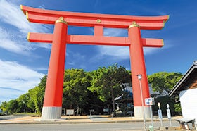 淡路島みかん狩り食べ放題と浮世離れのSHIMA DOROBOご昼食3