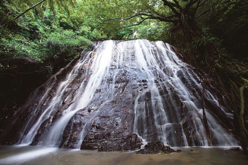 【出雲市駅・松江駅・安来駅・米子駅発】 《島たび》東シナ海に浮かぶ秘島・甑島列島 ３日間2