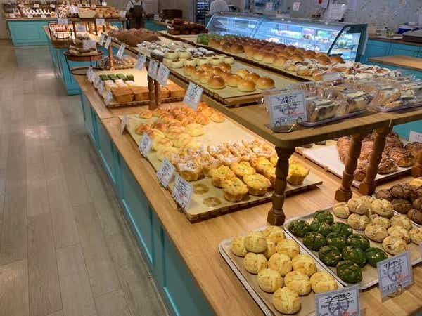 【神奈川県内・町田発】 屋外での観光ナシ！栃木発祥の有名ベーカリー「ペニーレイン」でハンバーグランチ 自家製パン食べ放題 次世代「宇都宮ライトレール」乗車＆ひんや～り地下神殿3