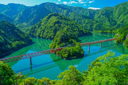 <ハイク中級>『桜の中を走るお花見列車と宇津ノ谷峠・接岨峡ハイキング 2日間』【新大阪・京都出発】