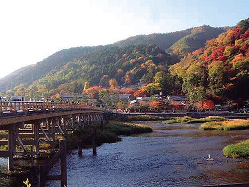 【一宮発】予約困難！秋の嵯峨野トロッコ列車＆嵐山・宇治さんぽ＆京のごちそうビュッフェ2