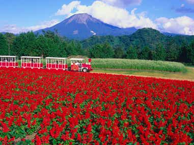 【奈良県内発】 大人の初秋旅～山陰横断ハイライト２日間
