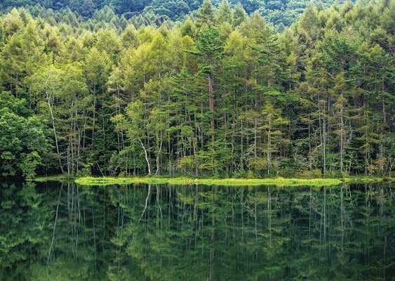 冬の特別感謝企画　「蓼科グランドホテルで長野の冬リゾートを体感！」 １泊２日2