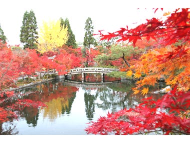 【名古屋発】京都3つの紅葉名所!永観堂・南禅寺・八坂神社&祇園の料理店で京都名物ゆどうふ御膳