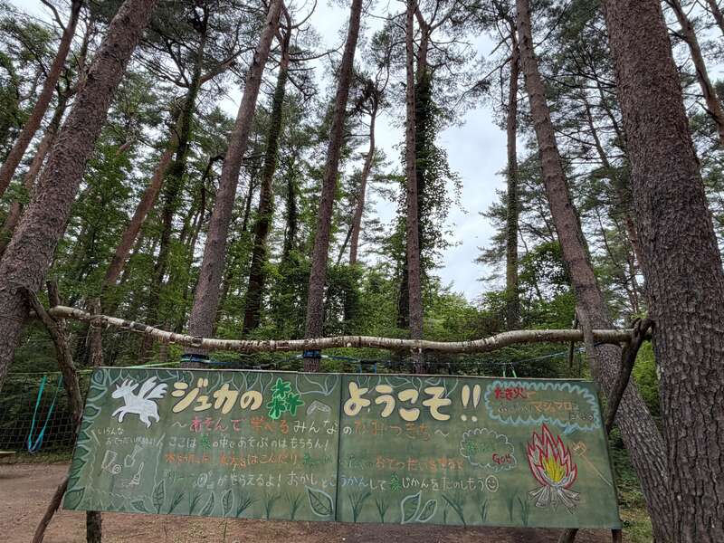 【東京都内発※町田を除く】 ≪小学3～6年生限定≫ 富士山のふもとで自然体験！河口湖で森林散策・火起こし・ブドウ狩り　日帰り1