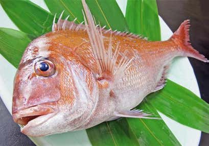 仮屋湾の真鯛vs佐賀牛 山海味覚の大饗宴と栄華を誇った唐津・呼子3つのお屋敷めぐり