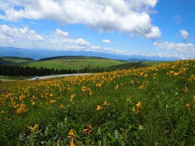 【秋田県・新幹線駅発】 新幹線で行く！上州信州ぐるっと周遊　 日本一の富士山の麓「富士山五合目」「河口湖ハーブフェスティバル」　高山植物の宝庫　霧ヶ峰ビーナスライン　旧軽銀座 3日間