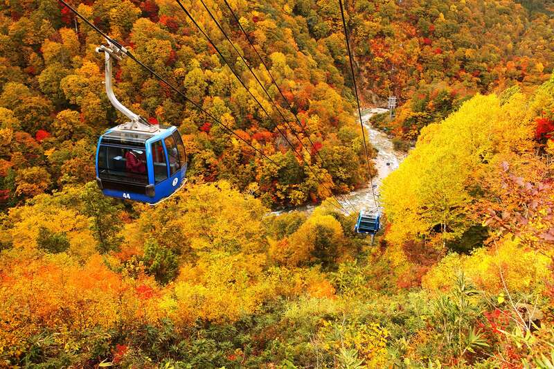 【茨城県内発】 紅葉の絶景空中散歩！ 日本最長！苗場ドラゴンドラ＆瞬間地上高日本一！田代ロープウェー1