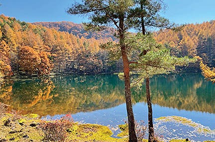 <極>【ランクアッププラン/往復グリーン車】八ヶ岳高原音楽堂「小椋 佳 八ヶ岳スペシャル・ライブ」3日間 【最大16名様限定】八ヶ岳の春。ここでしか出逢えない音楽の旅