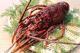 三宮・西宮　発
伊勢海老！いちご！和牛！お持ち帰りと「日本のエーゲ海」白崎海洋公園3