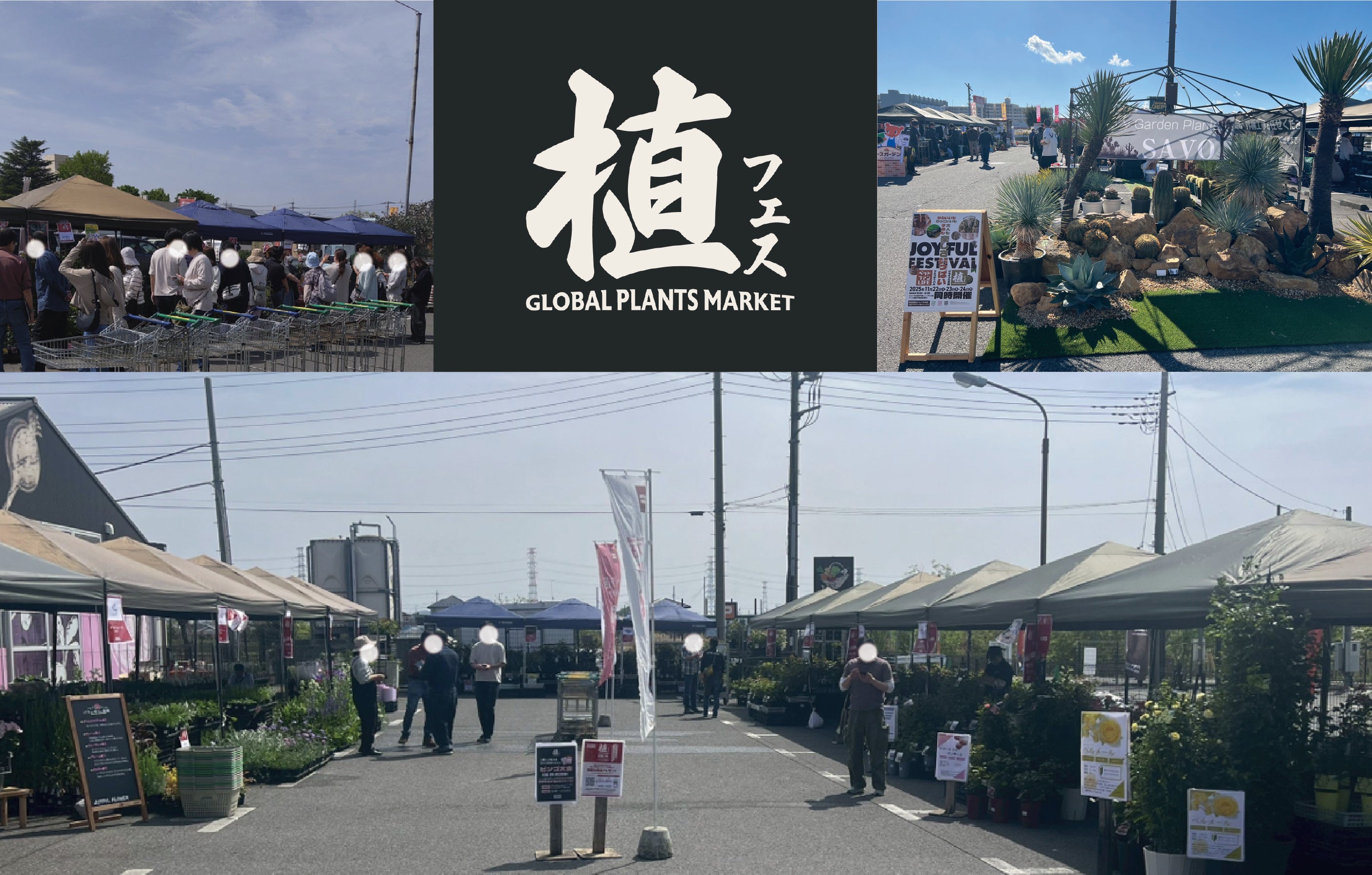 【茨城県内発】 ジョイフル本田タイアップ特別企画 植物の魅力を体験できるガーデンイベント「植フェス」と あしかがフラワーパークイルミネーション 日帰り3
