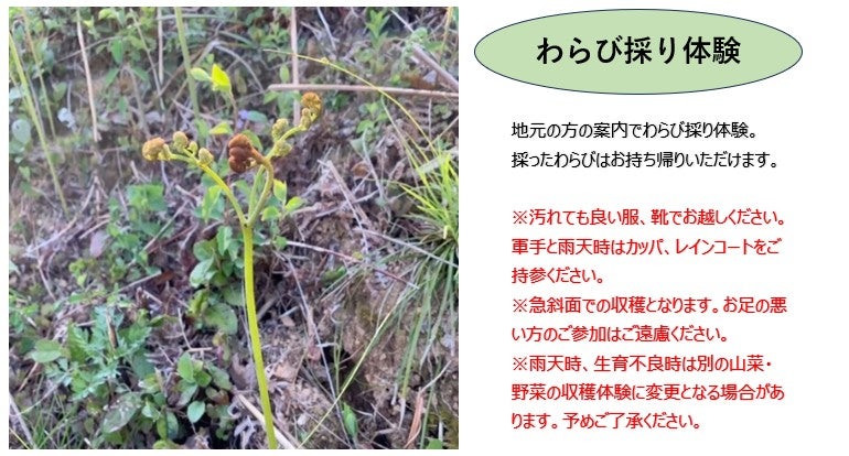 【広島駅新幹線口・アストラムライン古市駅発着／日帰り】【ふるさと応援団】 春の味覚・わらび採り体験と 石見2つの温泉めぐり ～美都温泉・匹見峡温泉～2