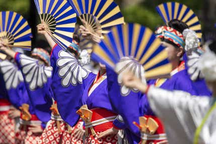 指定席からご鑑賞!第72回「高知よさこい踊り」と阿波おどり会館で阿波おどり昼公演ご鑑賞!2日間【大和八木・橿原神宮・五位堂・藤井寺発】