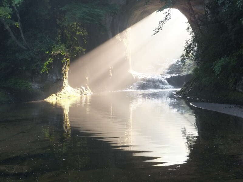【長崎空港発】 黒潮おどる！花咲く房総半島ぐるっとみどころ８景めぐり３日間3