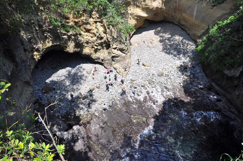 【東京駅・品川駅・川崎駅・横浜駅・大船駅発】 踊り子号で行く！ 「南伊豆・下田散策」or「河津桜見学」＆伊豆ちょっぴり観光2