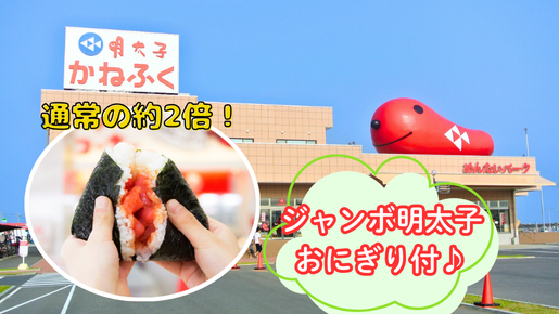 ＜Web割対象商品＞【キングツアーバス旅】見渡す限り赤の絨毯！ひたち海浜公園もこもこコキアと絶景パワースポット大洗磯前神社＆めんたいパーク〔立川・京王八王子発〕3