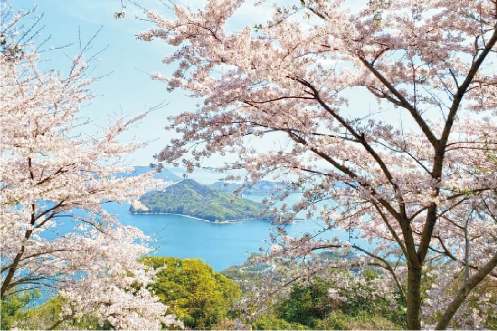 ＜香川＞～息をのむ美しさ～　紫雲出山の桜と特別名勝 栗林公園【名谷・垂水出発】1