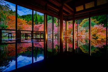 【バスハイク／天神(福岡)発着／添乗員同行】 環境芸術の森と九年庵の紅葉めぐり 佐賀・有明海干拓地に広がる畑で育ったレッドコーンのお土産付き♪1