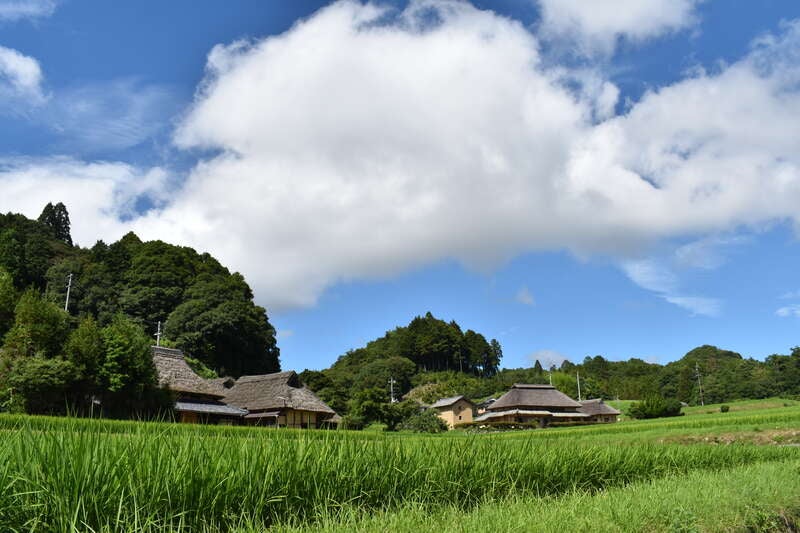 【兵庫エリア発】 秋を先取り！岡山早松茸料理と八塔寺ふるさと村3