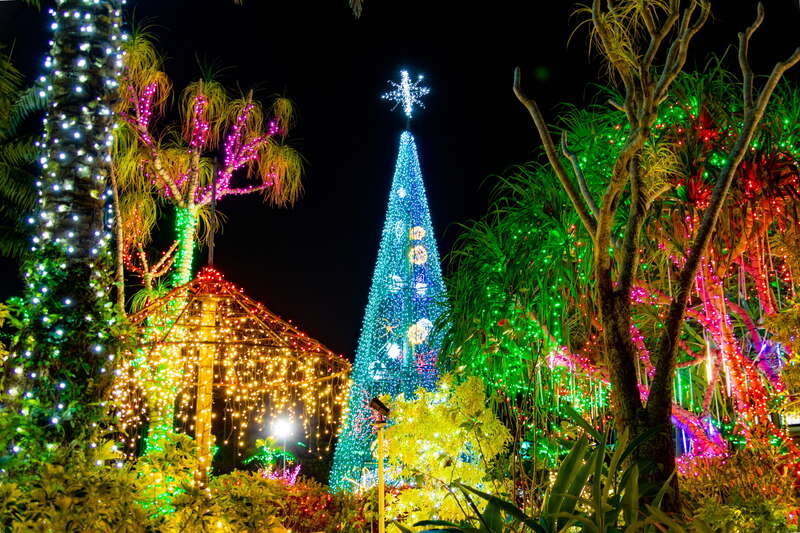 【広島空港発】 めんそーれ沖縄！美ら島大感謝祭2