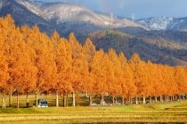 【金山駅南口発】〔遊山〕人と自然のおもてなし　近江たかしま日和1