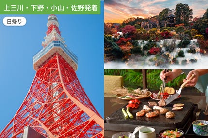 【上三川・下野・小山・佐野発着】憧れの「ホテル椿山荘東京」でランチ&東京タワー見学【昼食付】