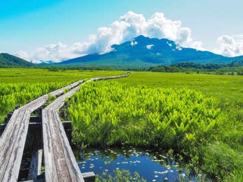＜ハイク初級＞『気軽に日帰りで！ ガイドとめぐる尾瀬ハイキング　約5時間滞在』【上毛高原集合】1