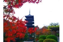 【津島発】＊日帰り夕食付＊『東寺五重塔初層特別拝観と高台寺ライトアップ』2