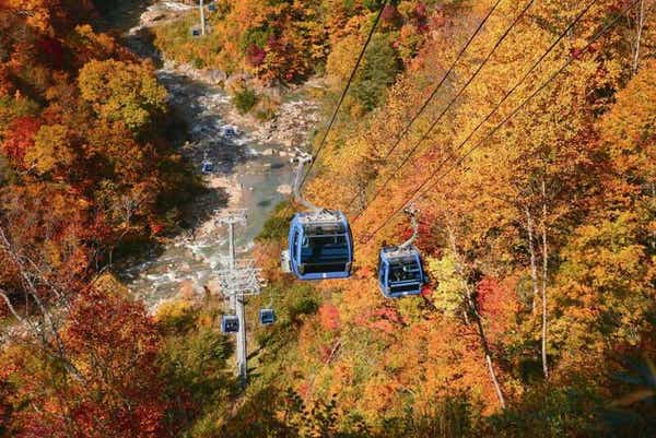 【山形県内発】 日本最長！紅葉の苗場ドラゴンドラ＆田代ロープウェー 空中散歩と秘境！奥只見湖遊覧船 2日間1