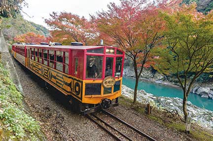 *(梅田発)秋彩に染まる嵯峨野トロッコ絶景遊覧と奥丹波紅葉名所巡り松茸7品尽くしと神戸牛を食す日帰り 個人では予約の取りづらい嵯峨野トロッコ列車にご乗車!