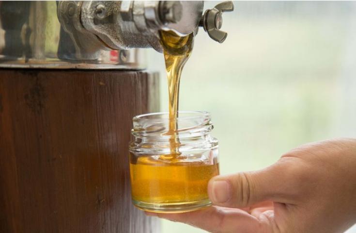 【早割30】[新宿発]心躍る房総！海鮮浜焼食べ放題と爽快フェリーで東京湾横断♪はちみつの専門店と写真ＳＮＳ映えスポットへ！日帰りバスツアー！2