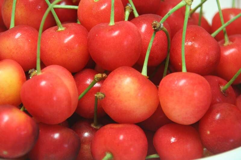 【光・下松・徳山発】さくらんぼ・メロン食べ放題と杜の庭園リフレッシュパーク豊浦「紫陽花の小径」 日帰り1