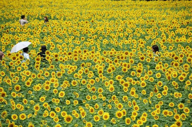 【JR福山駅発】丹波旅のお中元祭♪　日帰り2