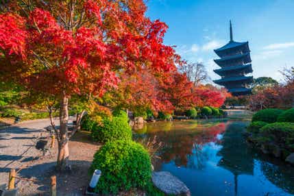 【福岡・熊本・鹿児島県内/博多駅・小倉駅発】 紅葉の京都名所12景めぐり3日間