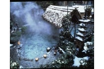 ２月までの出発　【YUTORI】　【名古屋駅発】＊１泊４食付＊『松葉がに付カニ会席を食す！　山陰の名湯　湯村温泉』2