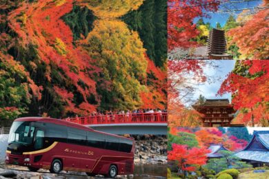【広島駅新幹線口・福山駅北口（福山SA送迎）・福山SA発着】プレミアムバスで行く 香嵐渓と湖東三山３日間1
