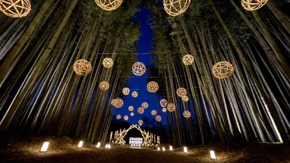 一夜限りの夜桜花火ツアー in 常陸大宮　Aコース3