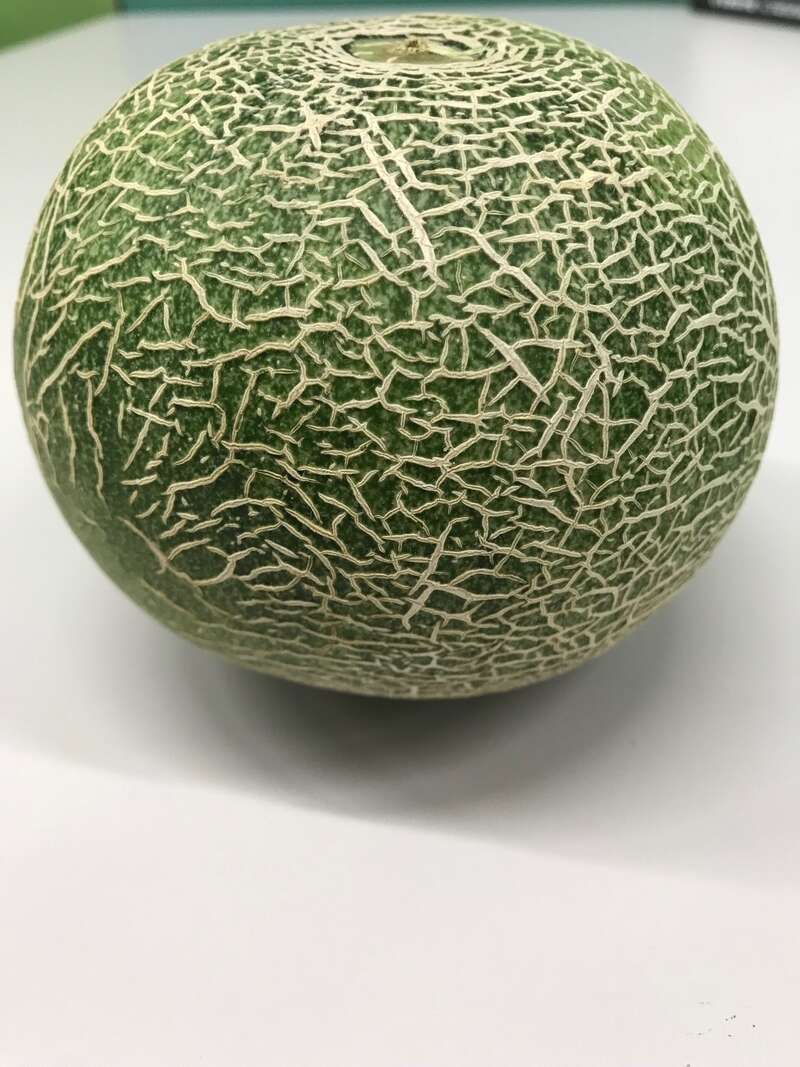 【泉州メインルート発】 母の日ミステリー　日帰り2