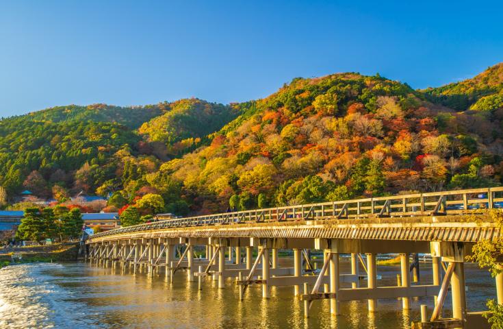 [難波/京都発]世界遺産古都京都の文化財巡り！昼食は黒毛和牛神戸牛すき焼き鍋をご堪能！金閣寺・嵐山・清水寺など京都の有名観光地をいいとこ取りツアー！(英語ガイド付)2