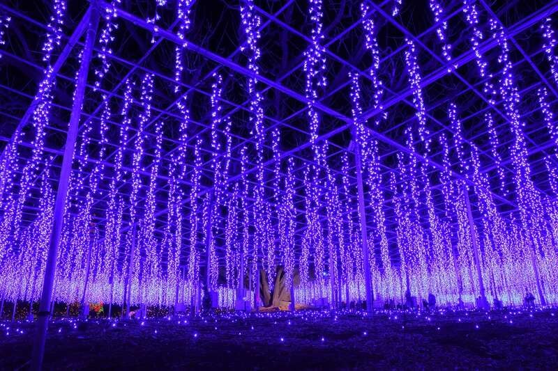 【八戸駅発】 あしかがフラワーパーク光の花の庭と世界遺産日光山輪王寺　特別開帳「毘沙門天」　2日間1