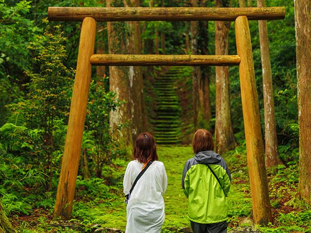 ■往復航空機利用！≪2日目：屋久島の「里地」を中心に巡る1日絶景フォトツアー付き！≫屋久島を知り尽くした地元のカメラマンが同行いたします　2泊3日2