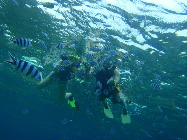 ◆夏旅セール◆沖縄で神秘の体験！那覇出発 クルーザーで行く！慶良間シュノーケリングツアー付き！（9:00発）ホテルを自由自在に組み合せ！沖縄本島ちゃんぷるーチョイス4泊5日1