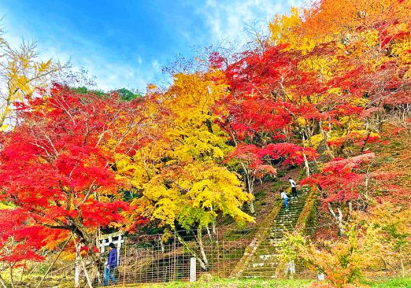 【北九発着】ぐるっと耶馬渓紅葉絵巻と洞門パティオ農家のごちそう野菜ランチバイキング1