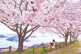 姫路・龍野発
№9887 紫雲出山ハイキングツアー