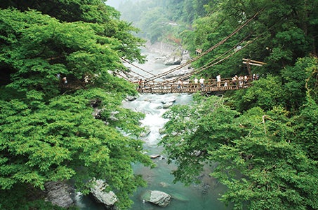 【山梨・2泊目：三翠園泊(ホテル夕食付)】道後温泉街・四万十川・桂浜・大歩危峡・金刀比羅宮　四国4県周遊3日1