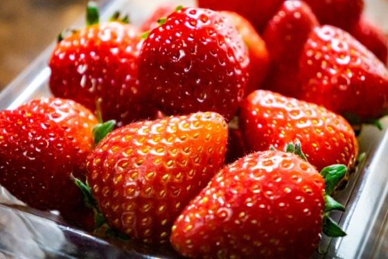 【バスハイク／添乗員同行／福岡(天神)発】 春うらら 桜彩る久留米百年公園と佐賀城跡 白玉ミニパフェでほっと一息 ☆いちご１パックお土産付き☆3